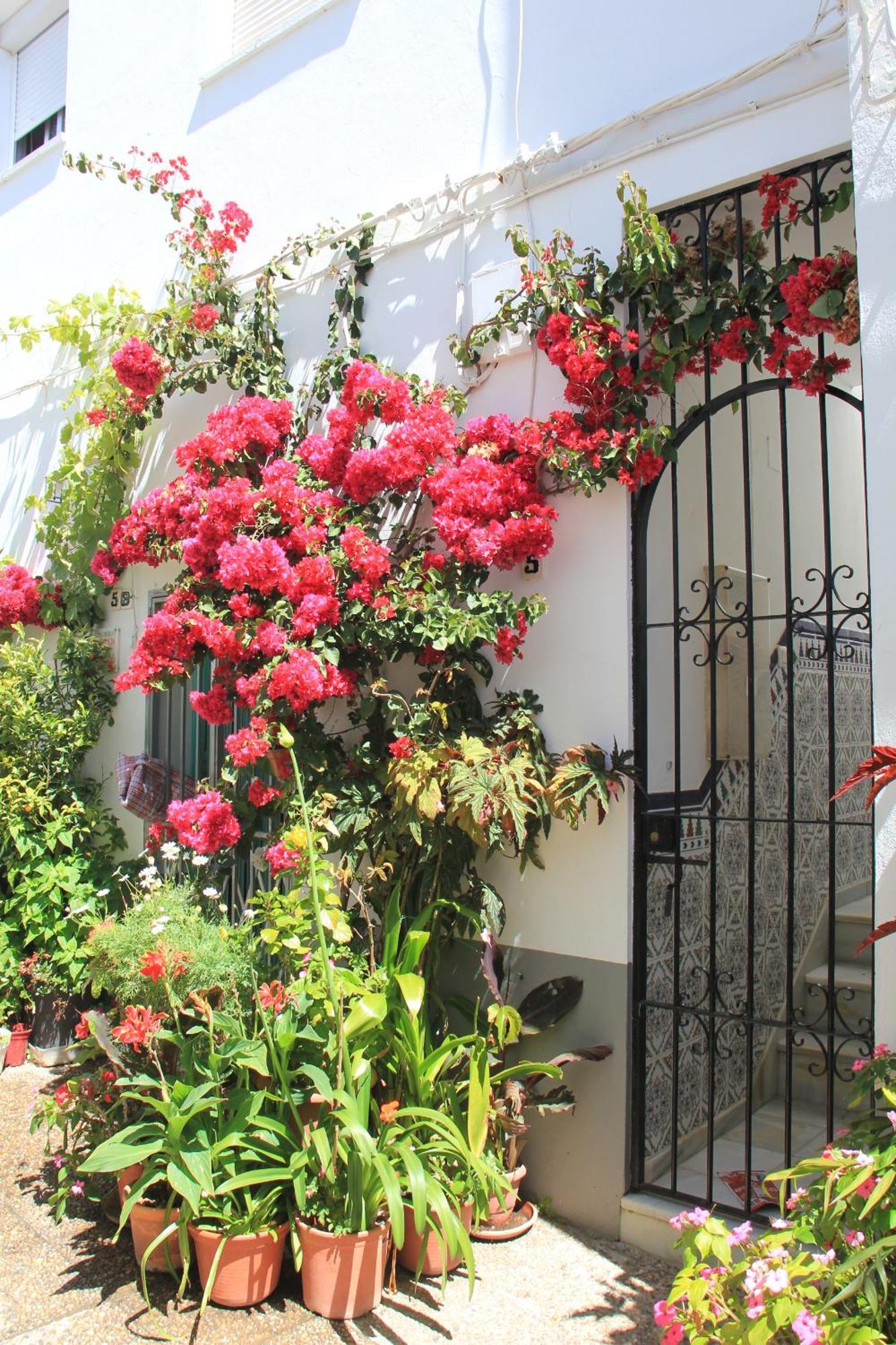 Casa Magallanes Conil Villa Conil De La Frontera Eksteriør billede
